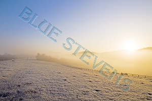 pewley downs sunrise